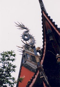 屋根見上げ