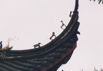 屋根見上げ